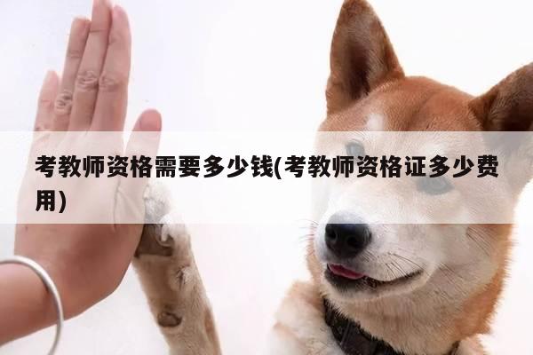 考教师资格需要多少钱(考教师资格证多少费用)