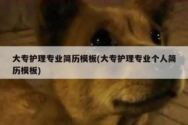 大专护理专业简历模板(大专护理专业个人简历模板)