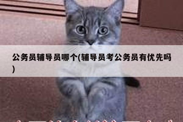公务员辅导员哪个(辅导员考公务员有优先吗)
