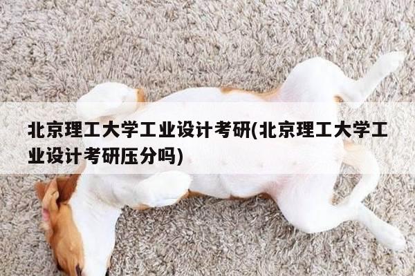 北京理工大学工业设计考研(北京理工大学工业设计考研压分吗)