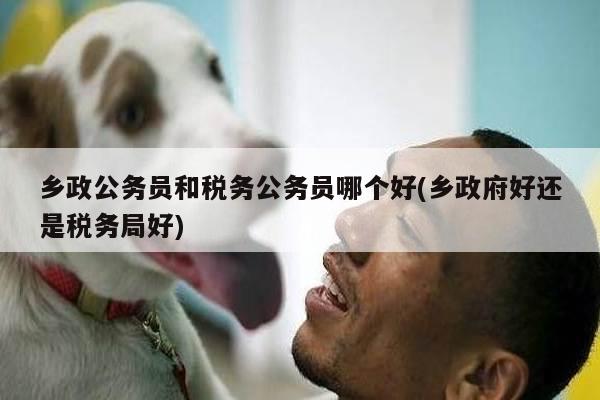 乡政公务员和税务公务员哪个好(乡政府好还是税务局好)