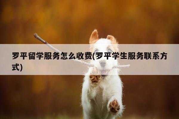 罗平留学服务怎么收费(罗平学生服务联系方式)