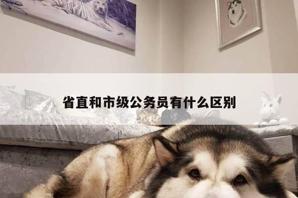 省直和市级公务员有什么区别