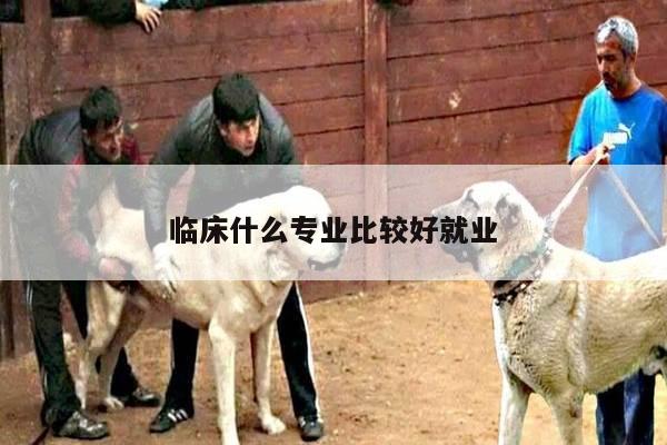 临床什么专业比较好就业