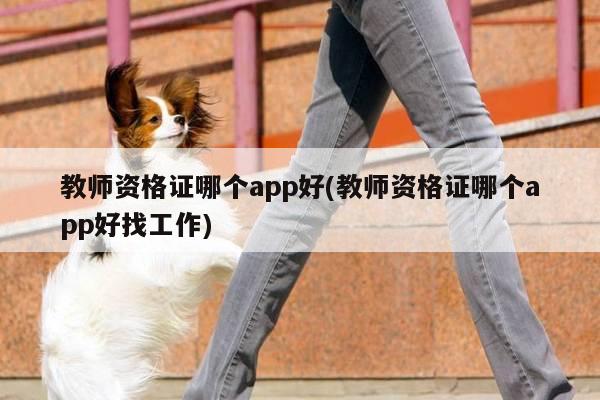 教师资格证哪个app好(教师资格证哪个app好找工作)