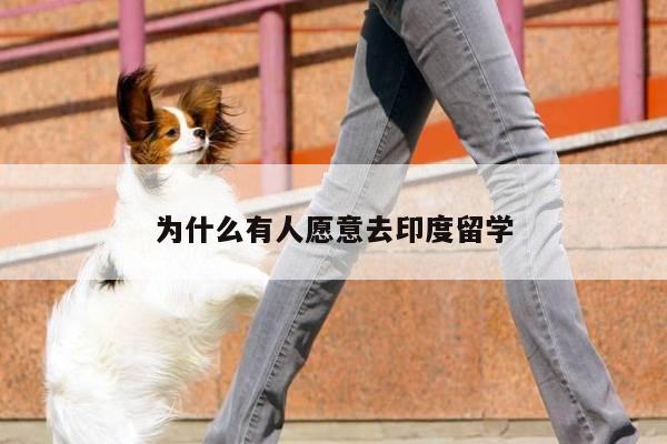 为什么有人愿意去印度留学
