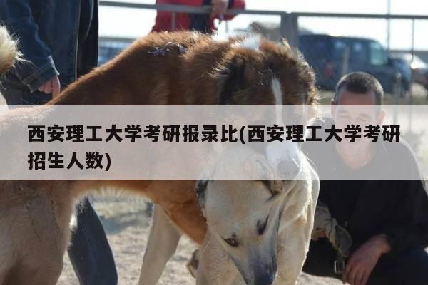 西安理工大学考研报录比(西安理工大学考研招生人数)