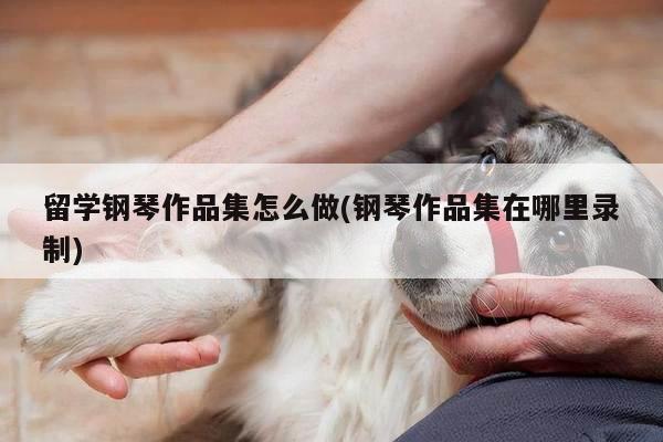 留学钢琴作品集怎么做(钢琴作品集在哪里录制)