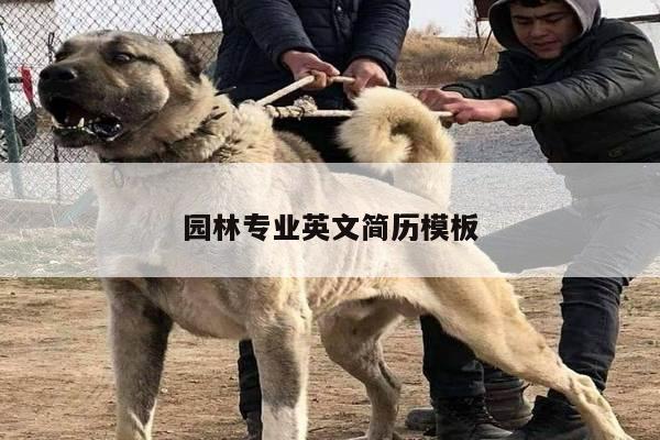 园林专业英文简历模板