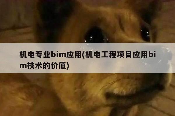 机电专业bim应用(机电工程项目应用bim技术的价值)
