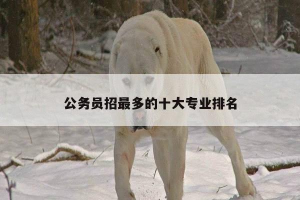公务员招最多的十大专业排名