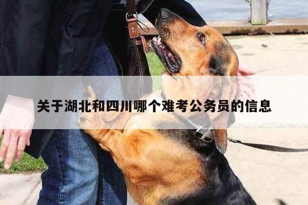 关于湖北和四川哪个难考公务员的信息