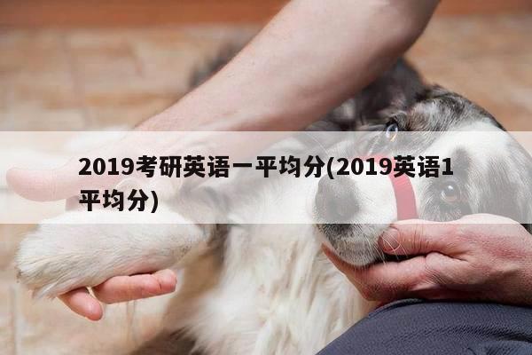 2019考研英语一平均分(2019英语1平均分)