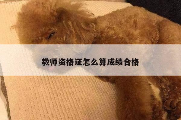 教师资格证怎么算成绩合格