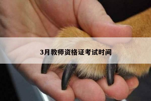 3月教师资格证考试时间