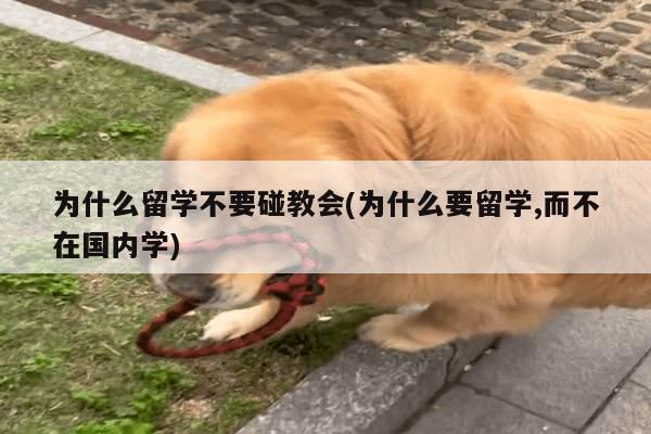 为什么留学不要碰教会(为什么要留学,而不在国内学)