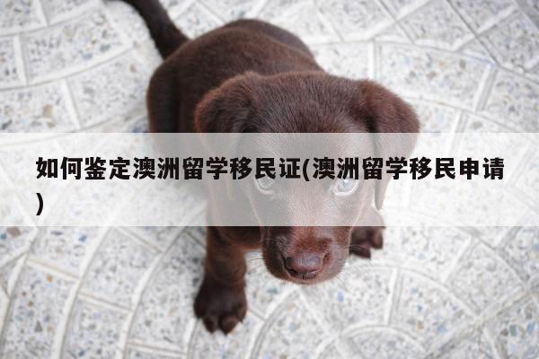 如何鉴定澳洲留学移民证(澳洲留学移民申请)