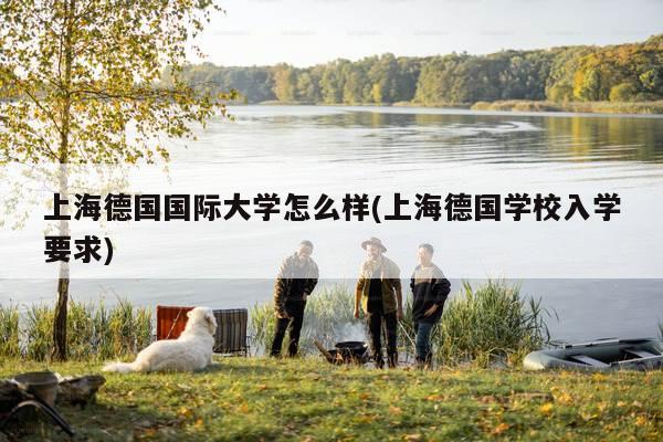 上海德国国际大学怎么样(上海德国学校入学要求)