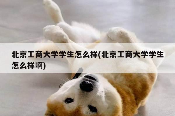 北京工商大学学生怎么样(北京工商大学学生怎么样啊)