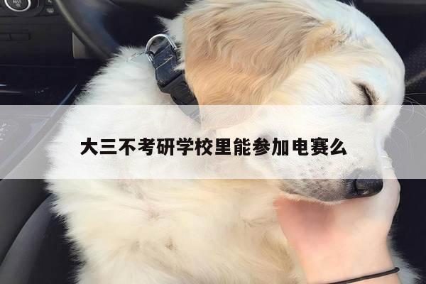 大三不考研学校里能参加电赛么