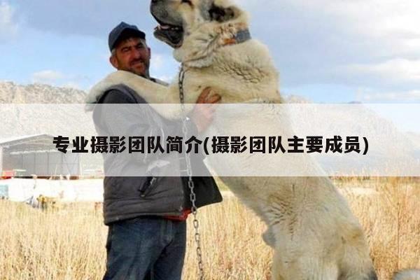 专业摄影团队简介(摄影团队主要成员)