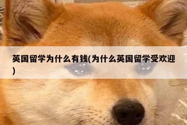英国留学为什么有钱(为什么英国留学受欢迎)