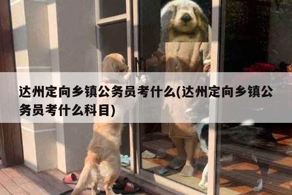 达州定向乡镇公务员考什么(达州定向乡镇公务员考什么科目)