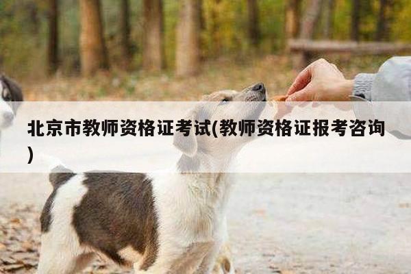 北京市教师资格证考试(教师资格证报考咨询)