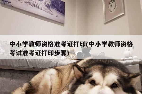 中小学教师资格准考证打印(中小学教师资格考试准考证打印步骤)