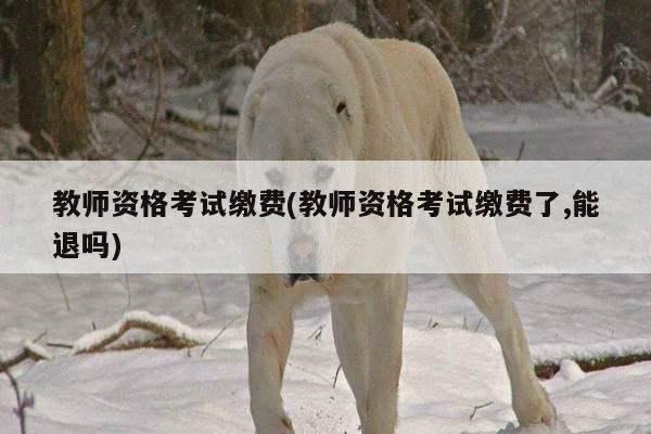 教师资格考试缴费(教师资格考试缴费了,能退吗)