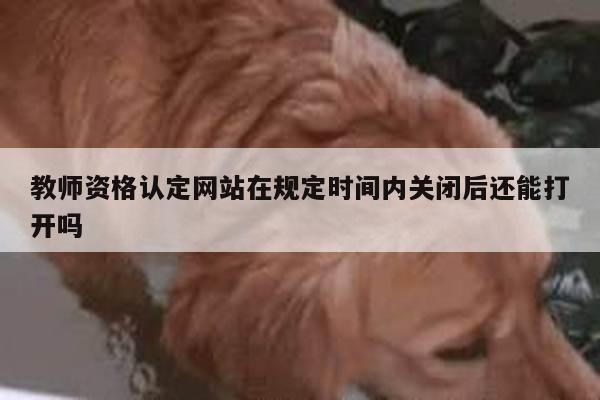 教师资格认定网站在规定时间内关闭后还能打开吗