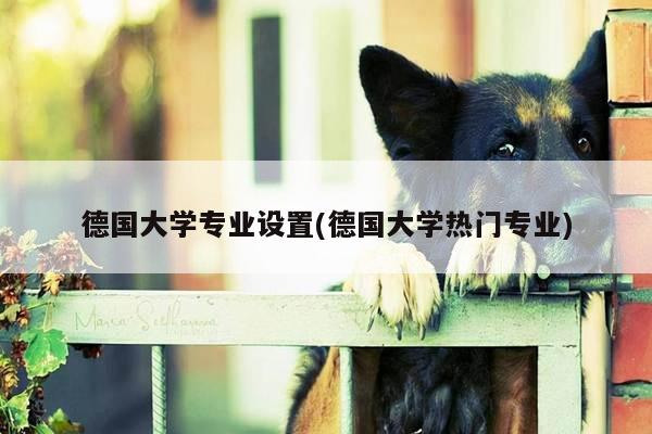 德国大学专业设置(德国大学热门专业)