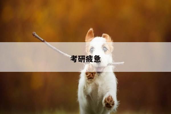 考研疲惫
