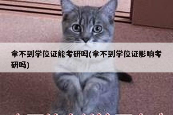 拿不到学位证能考研吗(拿不到学位证影响考研吗)