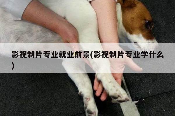影视制片专业就业前景(影视制片专业学什么)