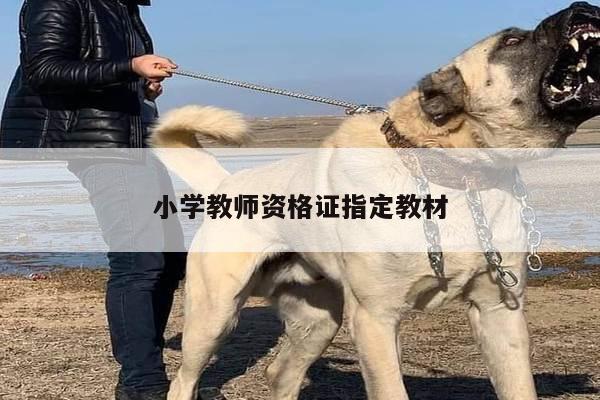 小学教师资格证指定教材