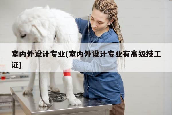 室内外设计专业(室内外设计专业有高级技工证)