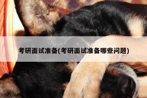 考研面试准备(考研面试准备哪些问题)