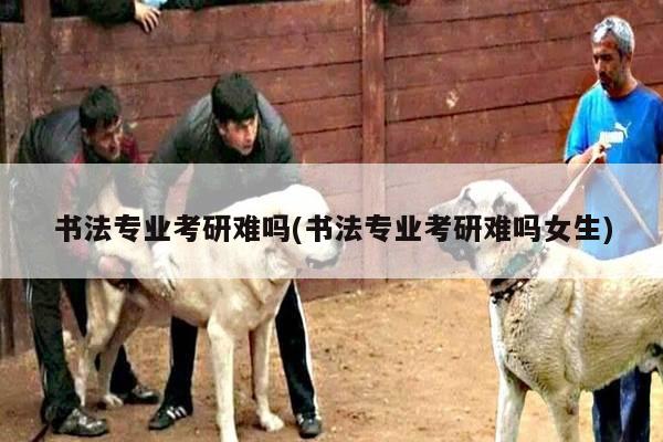 书法专业考研难吗(书法专业考研难吗女生)
