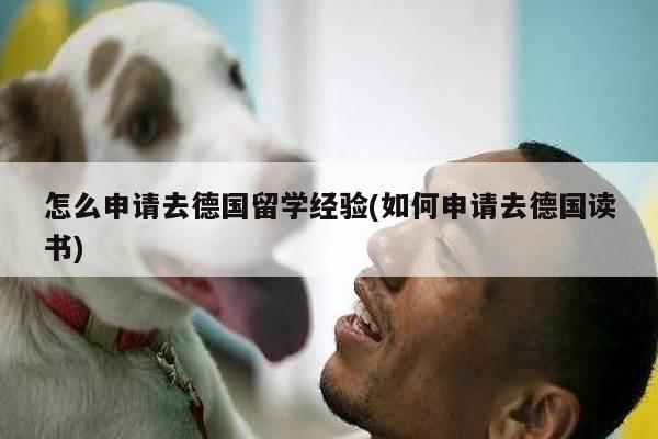 怎么申请去德国留学经验(如何申请去德国读书)
