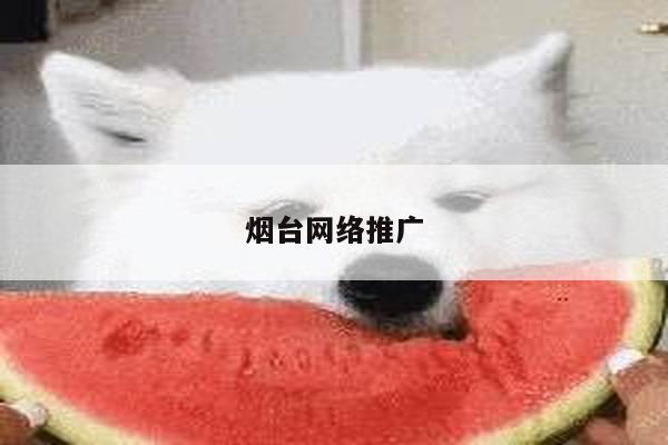 烟台网络推广