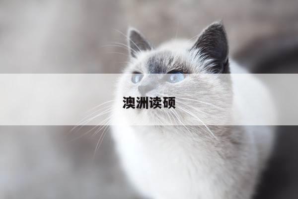 澳洲读硕