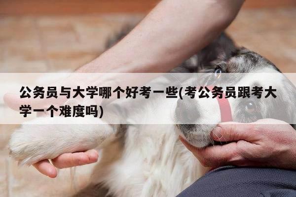 公务员与大学哪个好考一些(考公务员跟考大学一个难度吗)
