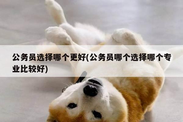 公务员选择哪个更好(公务员哪个选择哪个专业比较好)