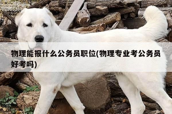 物理能报什么公务员职位(物理专业考公务员好考吗)