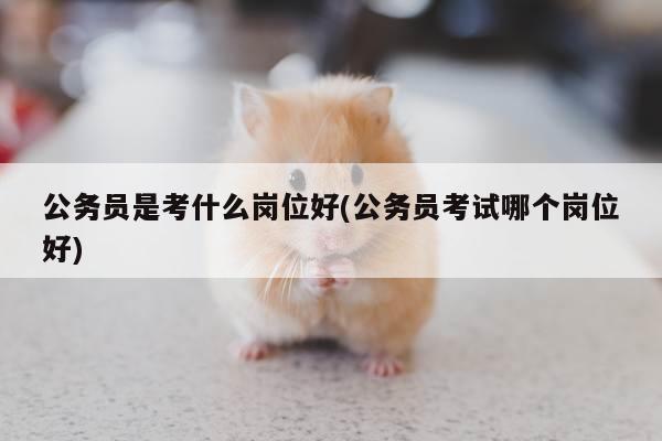 公务员是考什么岗位好(公务员考试哪个岗位好)