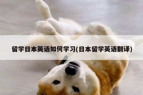 留学日本英语如何学习(日本留学英语翻译)