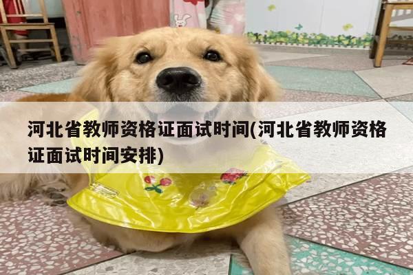 河北省教师资格证面试时间(河北省教师资格证面试时间安排)