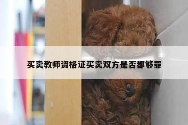 买卖教师资格证买卖双方是否都够罪