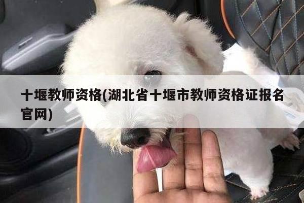 十堰教师资格(湖北省十堰市教师资格证报名官网)